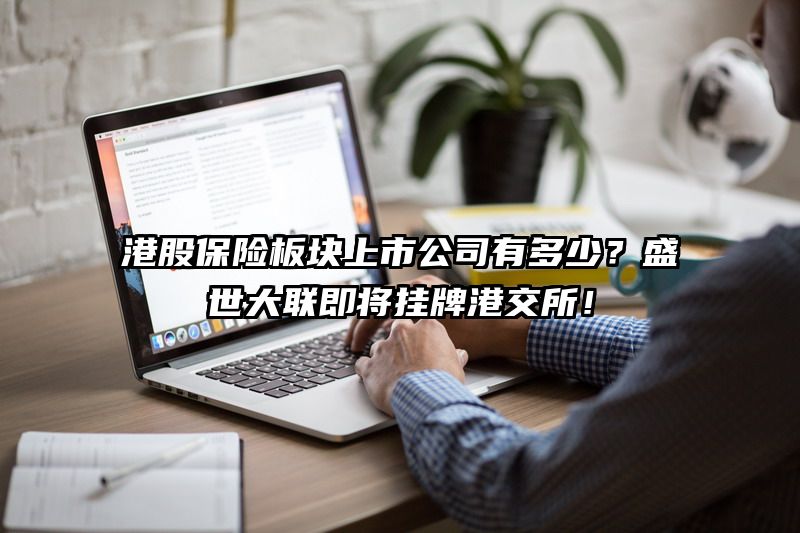 港股保险板块上市公司有多少？盛世大联即将挂牌港交所！