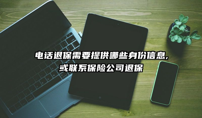 电话退保需要提供哪些身份信息,或联系保险公司退保