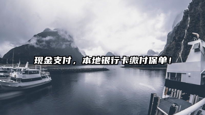 现金支付，本地银行卡缴付保单！